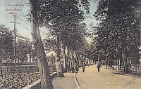 Werthmühlen-Allee / Münsterstr.  mit Amtsgericht - 1905 